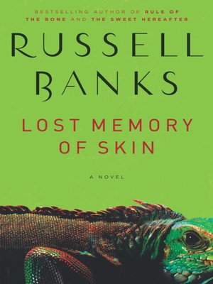 cover image of Lost Memory of Skin